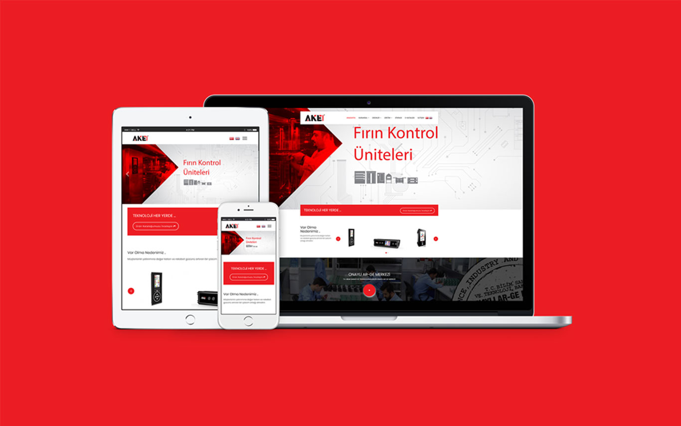 Ake Web Tasarım Çalışması