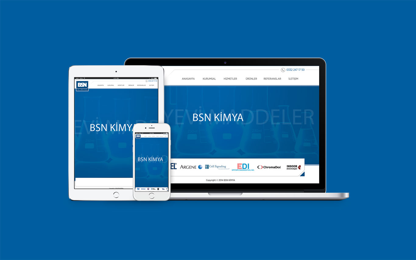BSN Kimya Web Tasarım Çalışması